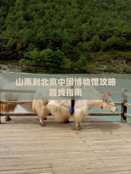 山南到北京中国国家博物馆攻略