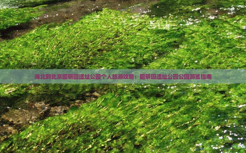 海北到北京圆明园遗址公园个人游
