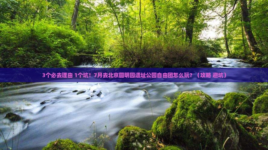 七月去北京圆明园遗址公园自由团