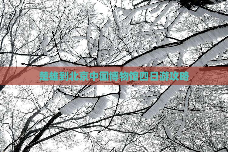 楚雄到北京中国国家博物馆四日游
