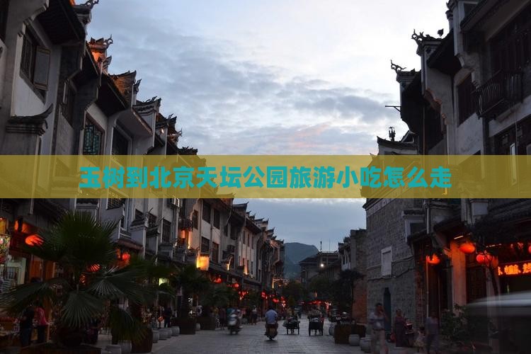 玉树到北京天坛公园旅游小吃