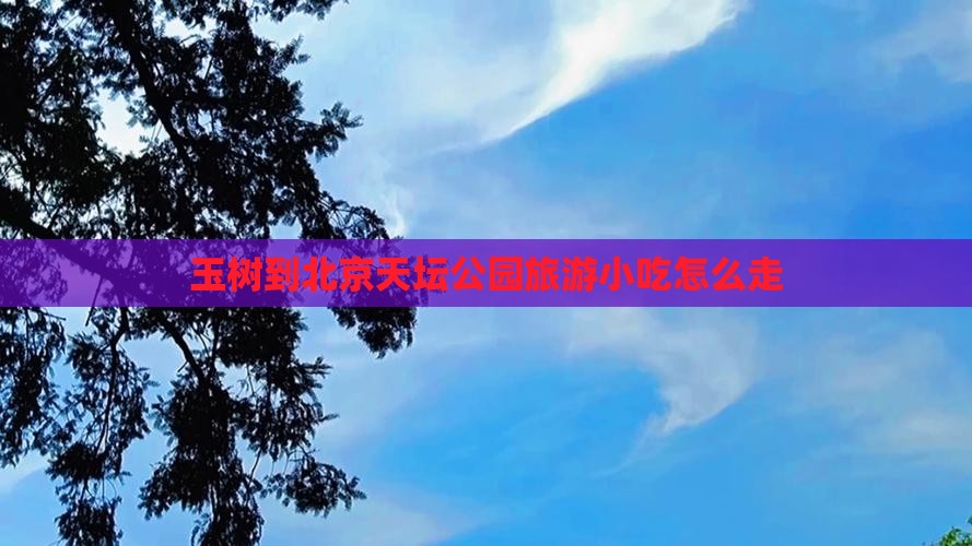 玉树到北京天坛公园旅游小吃