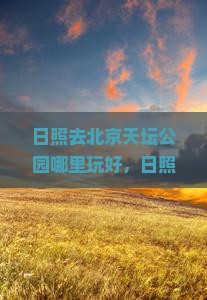 日照去北京天坛公园哪里玩