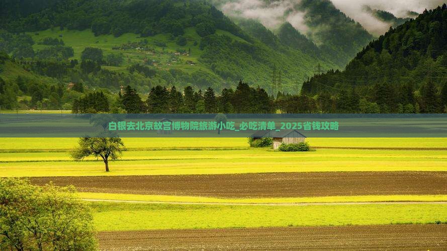 白银去北京故宫博物院旅游小吃