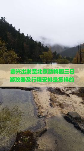 嘉兴出发至北京动物园三日游攻略及行程安排是怎样的？