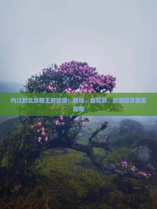 内江到北京恭王府旅游：路线、自驾游、旅游团及距离指南