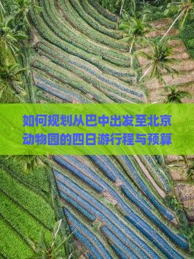 如何规划从巴中出发至北京动物园的四日游行程与预算？