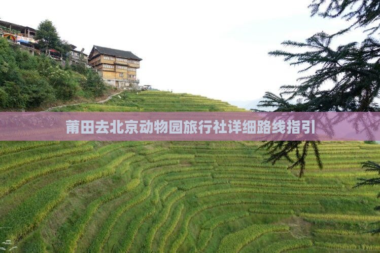 莆田去北京动物园旅行社详细路线指引