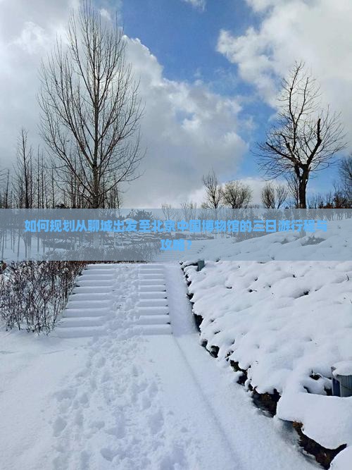 如何规划从聊城出发至北京中国博物馆的三日游行程与攻略？