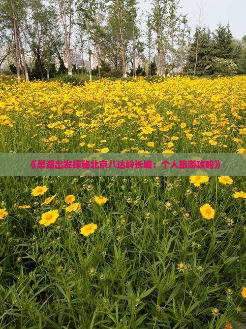 《巢湖出发探秘北京八达岭长城：个人旅游攻略》