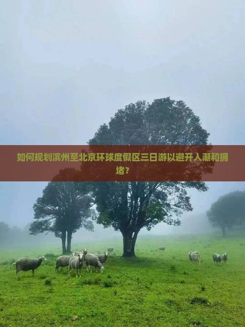如何规划滨州至北京环球度假区三日游以避开人潮和拥堵？
