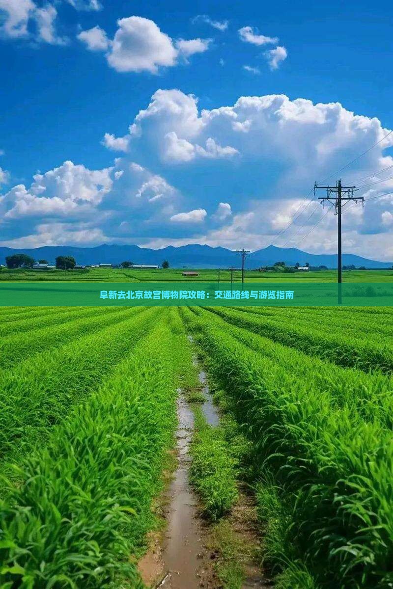 阜新去北京故宫博物院攻略：交通路线与游览指南