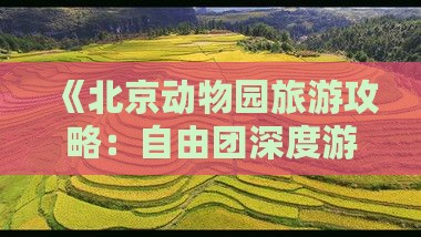 《北京动物园旅游攻略：自由团深度游体验》