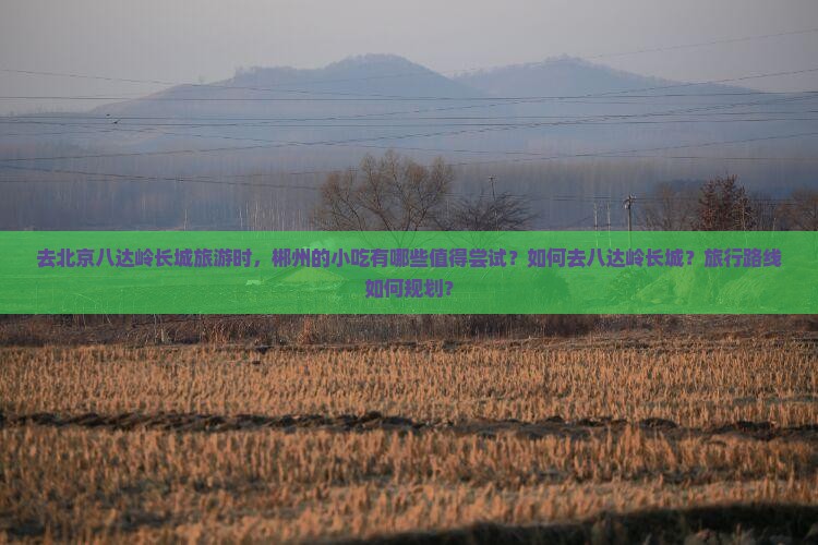 去北京八达岭长城旅游时，郴州的小吃有哪些值得尝试？如何去八达岭长城？旅行路线如何规划？