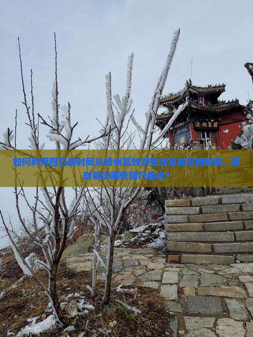 如何利用四日游时间从扬州高效游览北京故宫博物院，同时解决哪些旅行痛点？