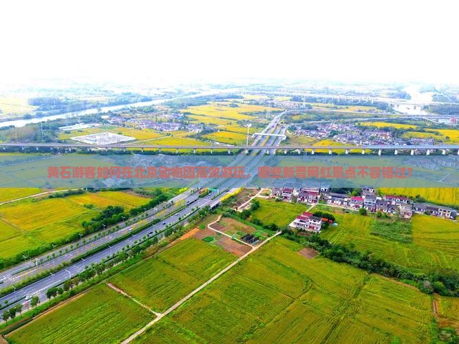 黄石游客如何在北京动物园高效游玩，哪些新晋网红景点不容错过？