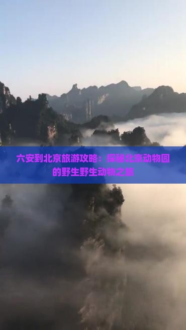 六安到北京旅游攻略：探秘北京动物园的野生野生动物之旅