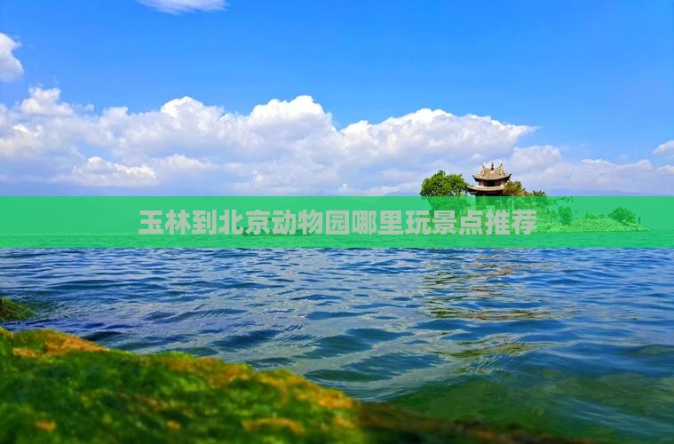 玉林到北京动物园哪里玩景点推荐