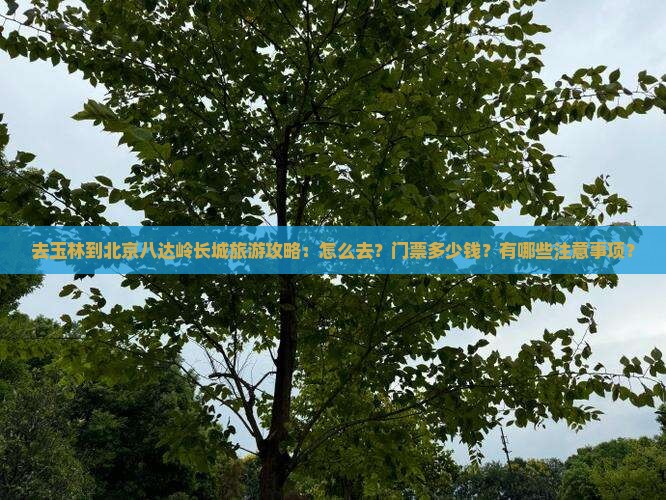 去玉林到北京八达岭长城旅游攻略：怎么去？门票多少钱？有哪些注意事项？