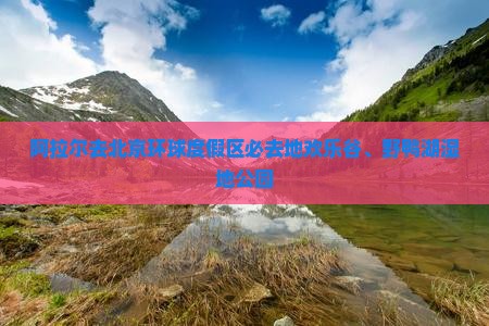 阿拉尔去北京环球度假区必去地欢乐谷、野鸭湖湿地公园