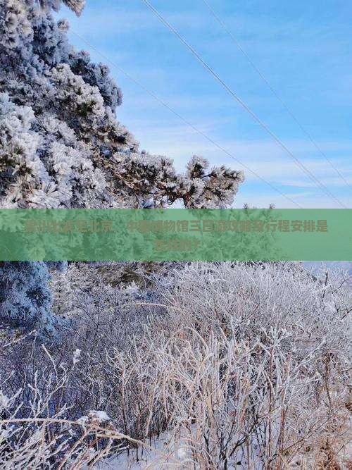 银川出发至北京，中国博物馆三日游攻略及行程安排是怎样的？