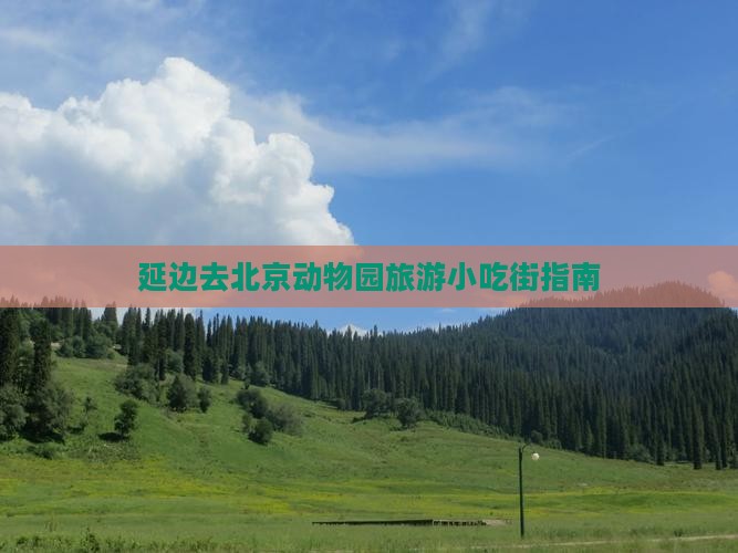 延边去北京动物园旅游小吃街指南