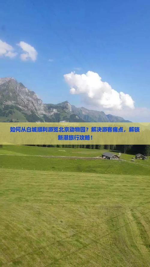 如何从白城顺利游览北京动物园？解决游客痛点，解锁新潮旅行攻略！