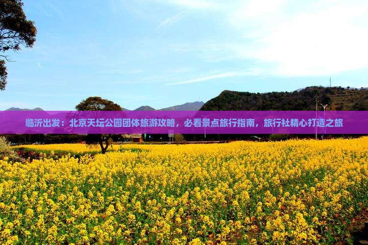 临沂出发：北京天坛公园团体旅游攻略，必看景点旅行指南，旅行社精心打造之旅