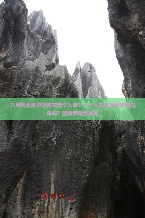 六月到北京中国博物馆个人游？一个人去北京博物馆孤单吗？国博参观全攻略