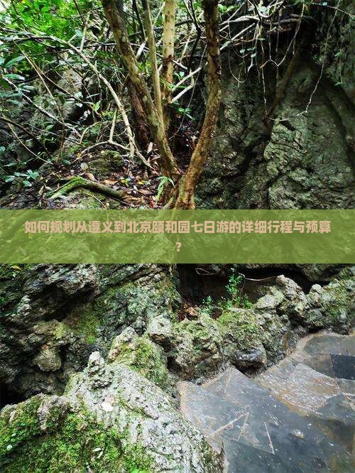 如何规划从遵义到北京颐和园七日游的详细行程与预算？