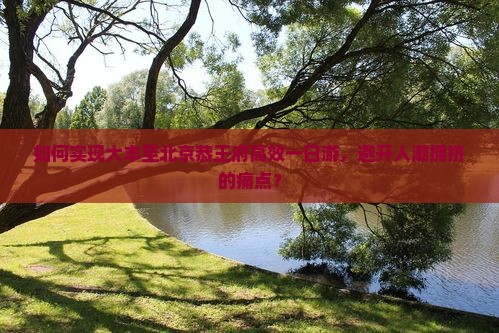 如何实现大丰至北京恭王府高效一日游，避开人潮拥挤的痛点？