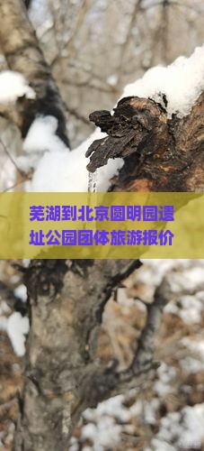 芜湖到北京圆明园遗址公园团体旅游报价及跟团游攻略