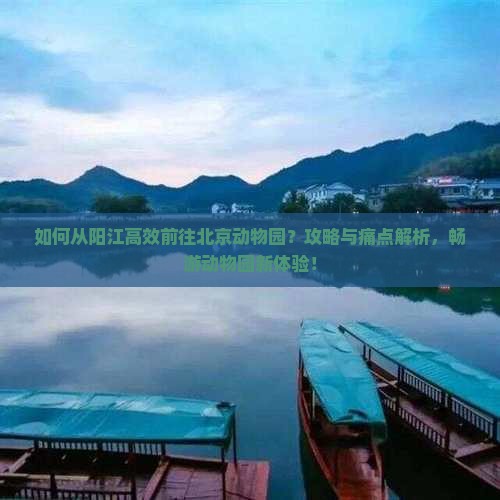如何从阳江高效前往北京动物园？攻略与痛点解析，畅游动物园新体验！