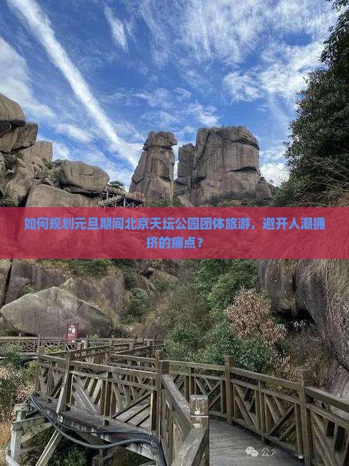 如何规划元旦期间北京天坛公园团体旅游，避开人潮拥挤的痛点？