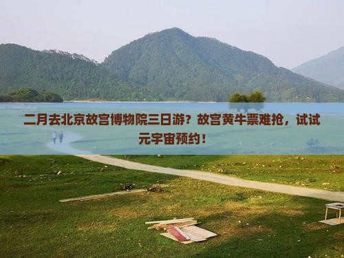 二月去北京故宫博物院三日游？故宫黄牛票难抢，试试元宇宙预约！