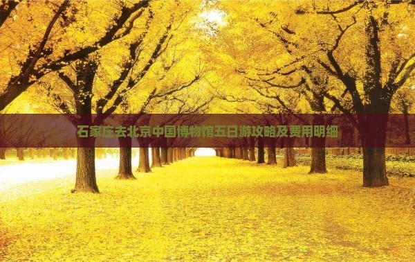 石家庄去北京中国博物馆五日游攻略及费用明细