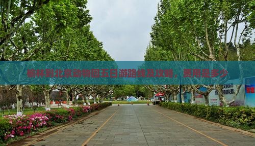 榆林到北京动物园五日游路线及攻略，费用是多少