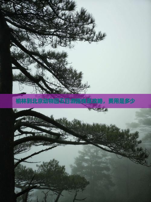 榆林到北京动物园五日游路线及攻略，费用是多少