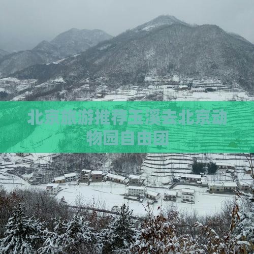北京旅游推荐玉溪去北京动物园自由团