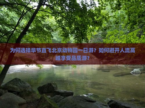 为何选择毕节直飞北京动物园一日游？如何避开人流高峰享受品质游？