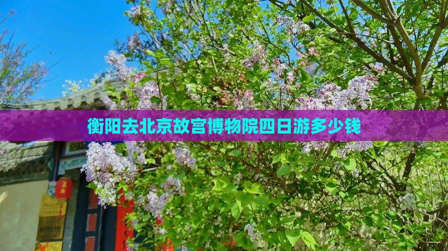 衡阳去北京故宫博物院四日游多少钱