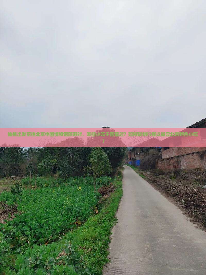 仙桃出发前往北京中国博物馆旅游时，哪些小吃不容错过？如何规划行程以品尝北京特色小吃？