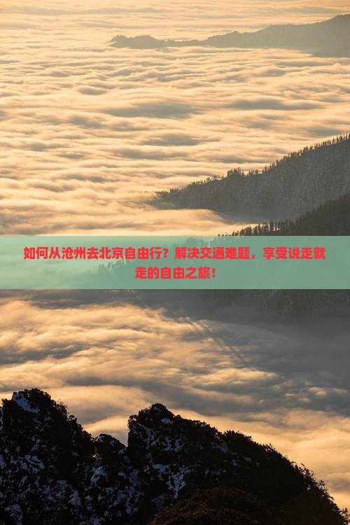 如何从沧州去北京自由行？解决交通难题，享受说走就走的自由之旅！