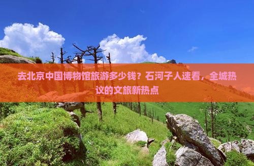 去北京中国博物馆旅游多少钱？石河子人速看，全城热议的文旅新热点