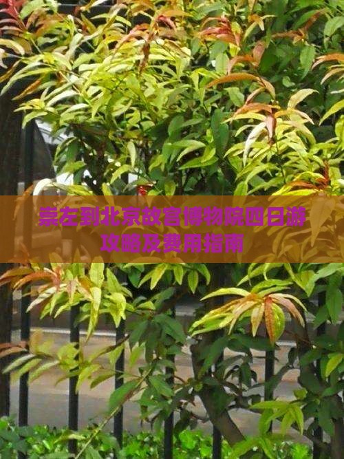 崇左到北京故宫博物院四日游攻略及费用指南
