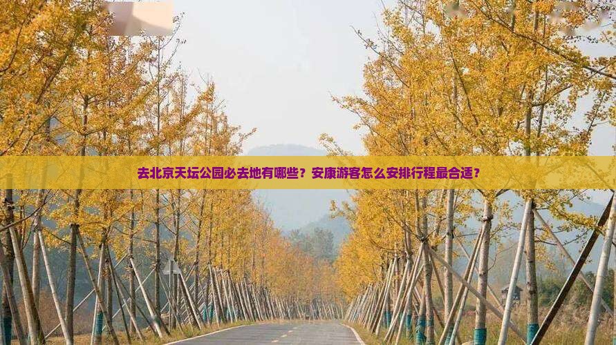 去北京天坛公园必去地有哪些？安康游客怎么安排行程最合适？