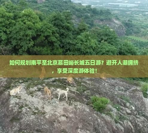 如何规划南平至北京慕田峪长城五日游？避开人潮拥挤，享受深度游体验！
