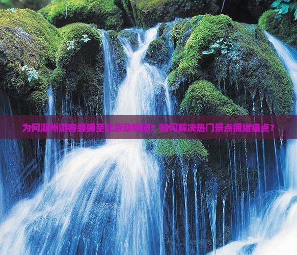 为何湖州游客蜂拥至北京动物园？如何解决热门景点拥堵痛点？