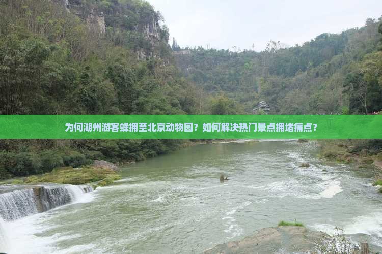 为何湖州游客蜂拥至北京动物园？如何解决热门景点拥堵痛点？