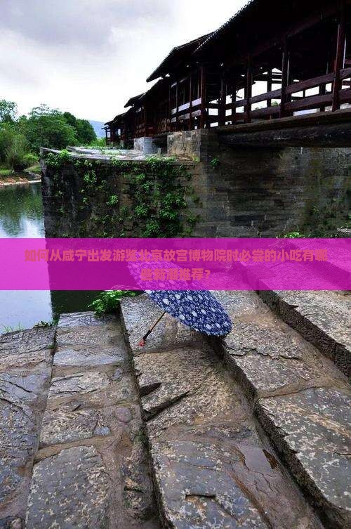 如何从咸宁出发游览北京故宫博物院时必尝的小吃有哪些新潮推荐？